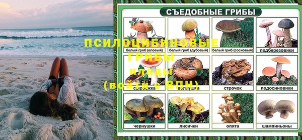 дмт Алексин