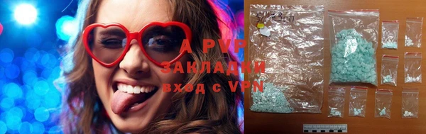 стафф Алзамай