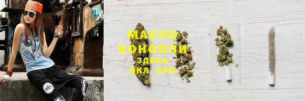 дмт Алексин