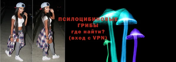 стафф Алзамай