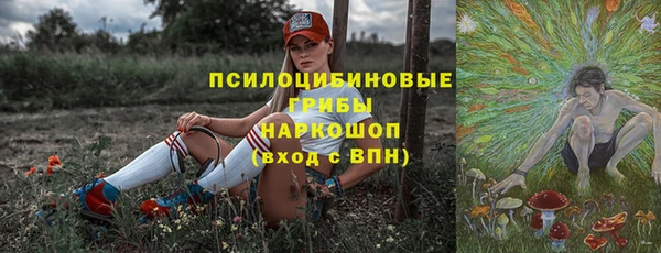 дмт Алексин